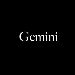 Gemini Motion